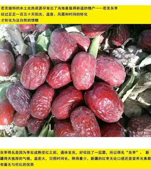 新疆若羌灰棗 原生態(tài)健康零食，孕婦兒童的理想選擇